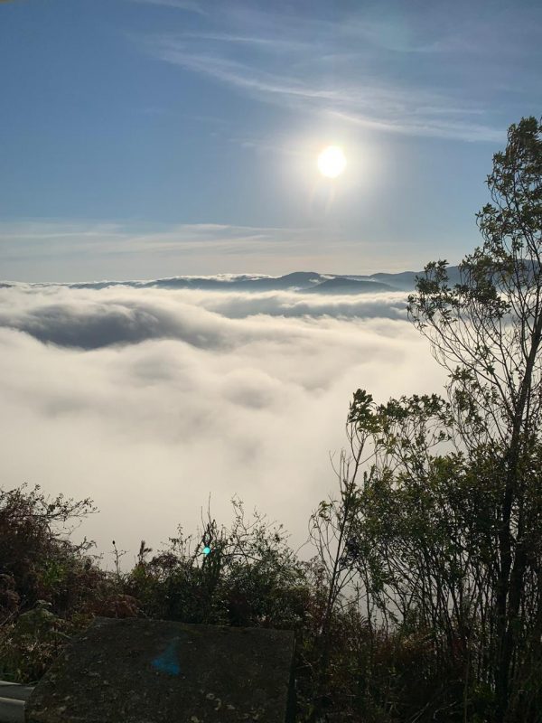 This landscape is most visible in the morning and at night, where temperatures tend to be lower.  The fog, according to Marcelo, is a cold front arrival notice that should occur from Saturday to Sunday.  