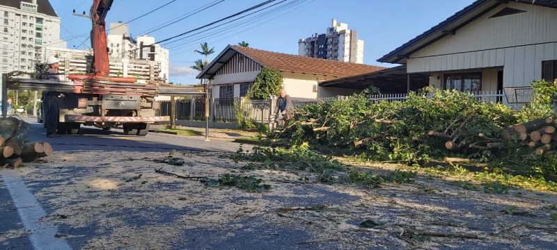 The north of Santa Catarina dawned counting the damages of the extratropical cyclone of Tuesday (30).  The winds, which reached up to 120 km / h.  Trees fell in the Saguaçu neighborhood, in Joinville.  - Reproduction / Social Networks / ND