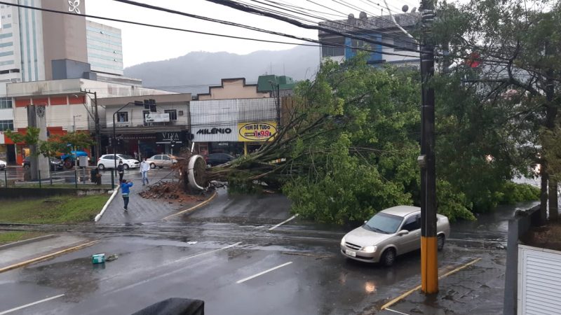 In Jaraguá do Sul, Civil Defense counted almost 100 calls after the cyclone that fell trees all over the city passed - Social Networks