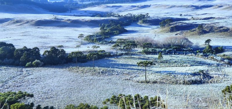 Intense cold and frost marked dawn in the region of São Joaquim, in the Serra.  - Mycchel Legnaghi / Press Release / ND