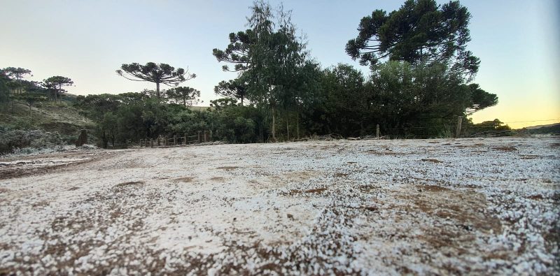Dirt road in São Joaquim was completely frozen with the intense cold.  - Mycchel Legnaghi / Press Release / ND