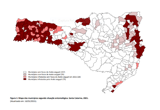 Observe los municipios de Santa Catarina con un brote de mosquitos del dengue & # 8211;  Foto: Diving / Disclosure ND
